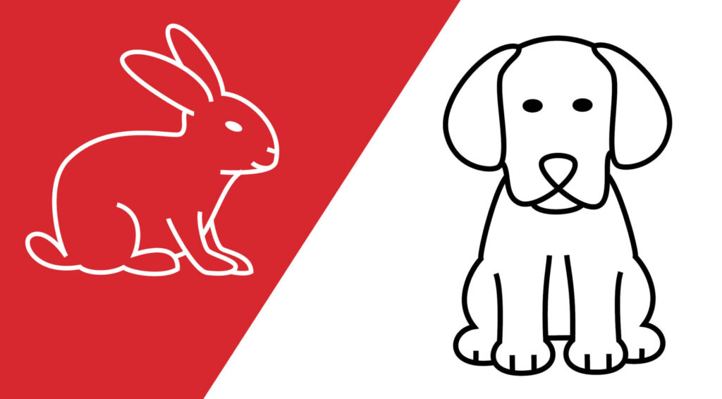 Image d'un lapin et un chien