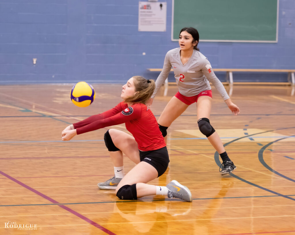Nordiques - Volleyball D2
