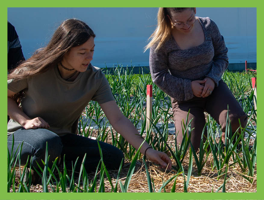 Famille Agriculture et horticulture