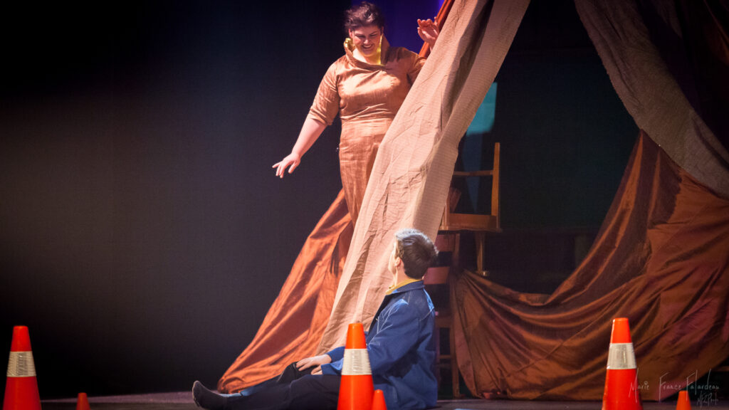 Spectacle La forêt des possibles, décembre 2017