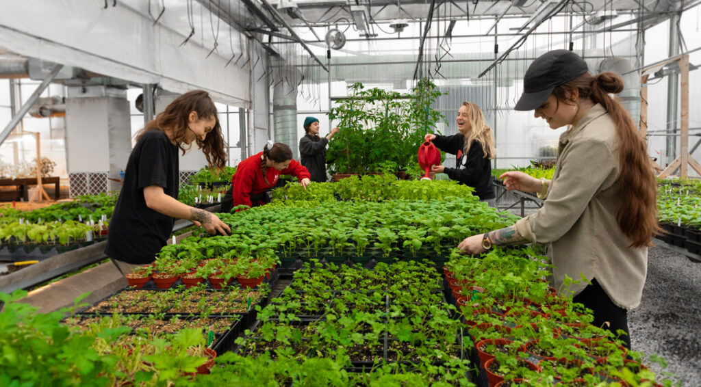 Technologie de la production horticole agroenvironnementale