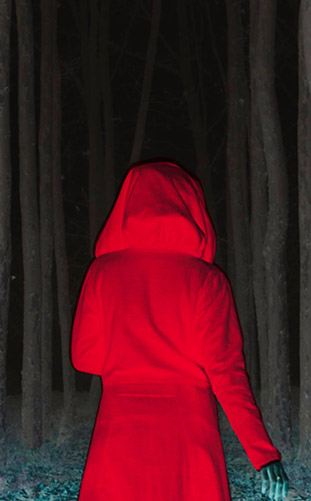 ETP • Promenons-nous dans les bois